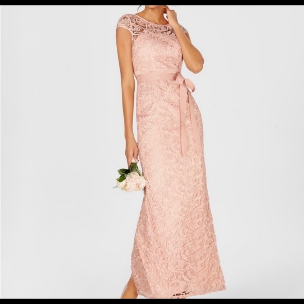 Adrianna Papell cap sleeve lace blush gown dress size 10